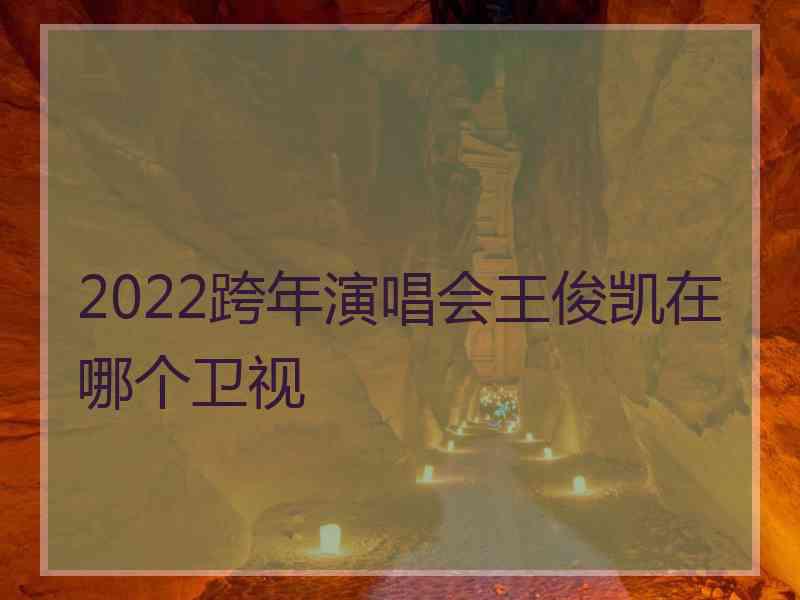 2022跨年演唱会王俊凯在哪个卫视