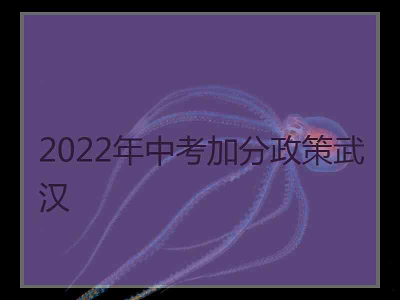 2022年中考加分政策武汉