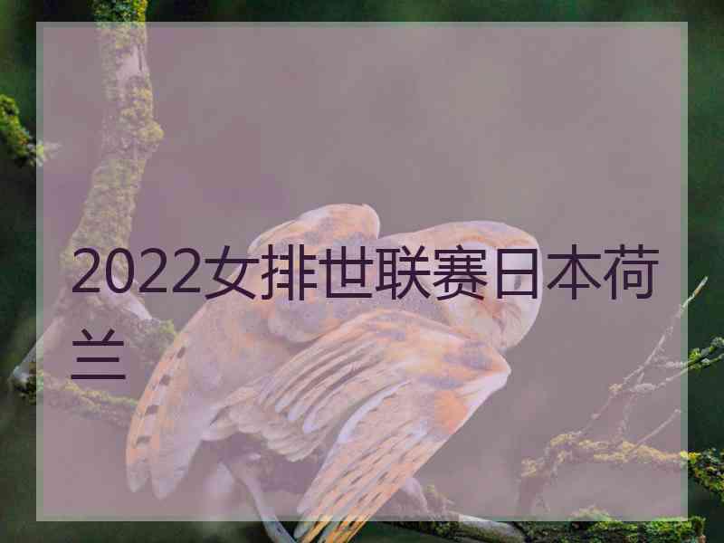 2022女排世联赛日本荷兰