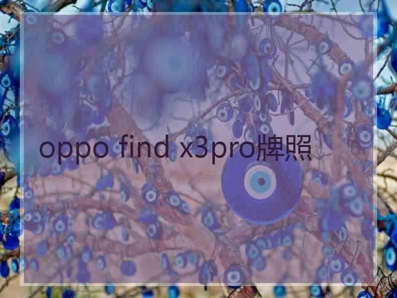 oppo find x3pro牌照