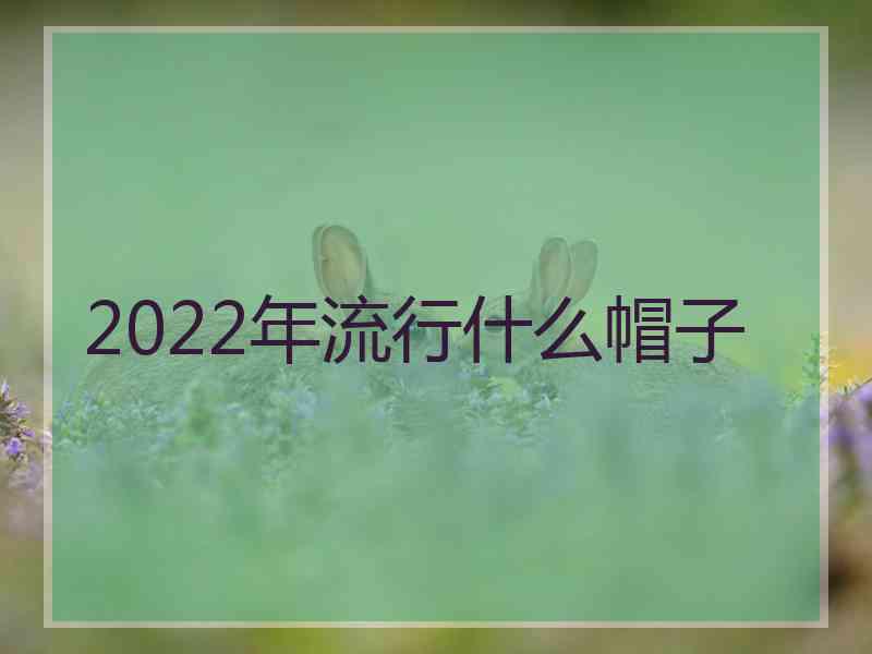 2022年流行什么帽子