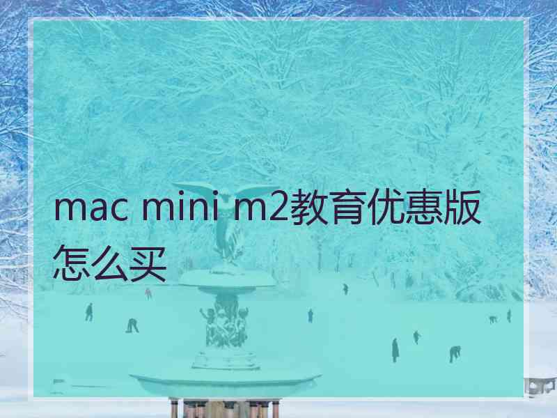 mac mini m2教育优惠版怎么买