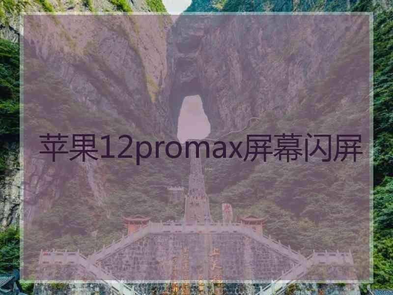 苹果12promax屏幕闪屏