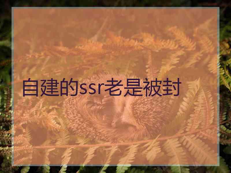 自建的ssr老是被封