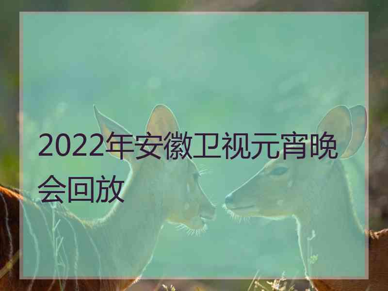 2022年安徽卫视元宵晚会回放