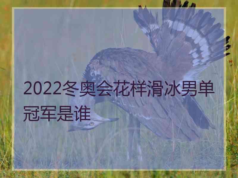 2022冬奥会花样滑冰男单冠军是谁