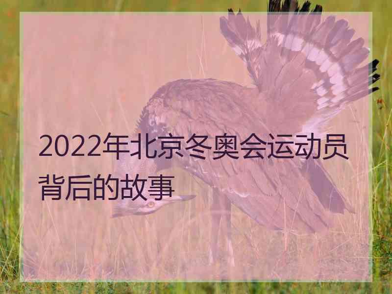 2022年北京冬奥会运动员背后的故事