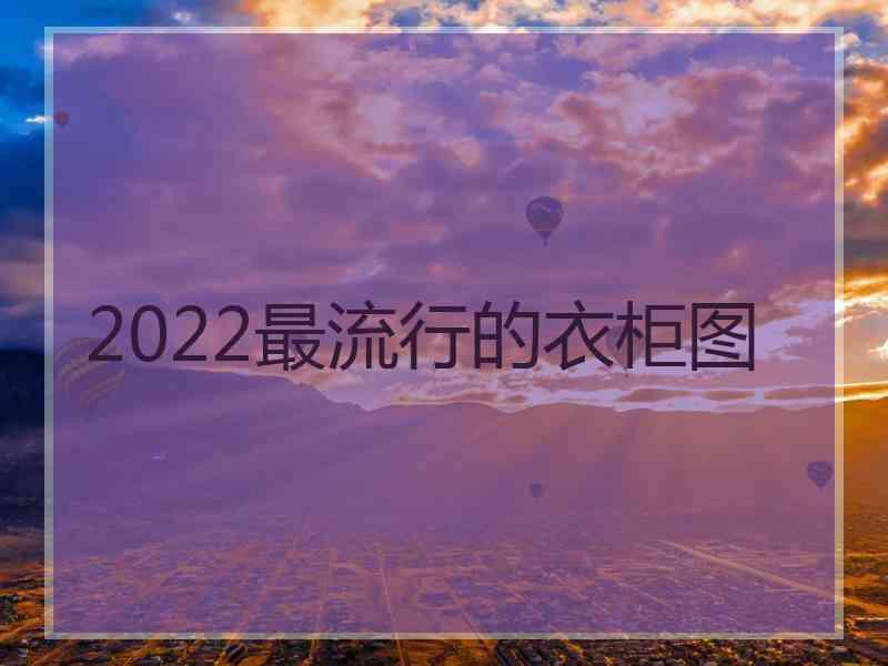 2022最流行的衣柜图