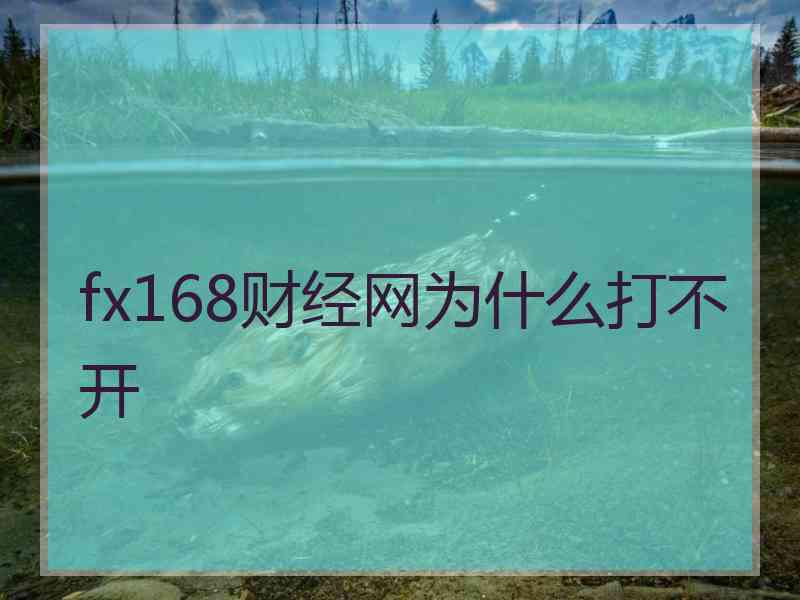 fx168财经网为什么打不开