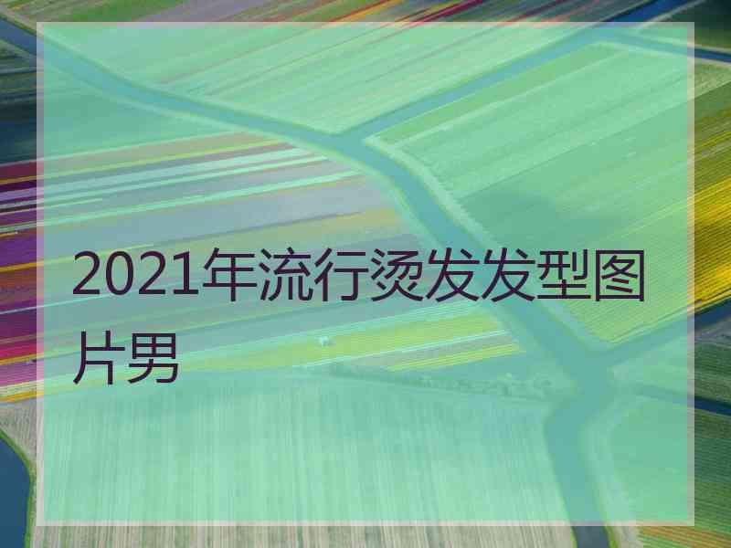 2021年流行烫发发型图片男