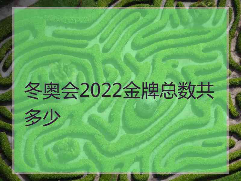 冬奥会2022金牌总数共多少