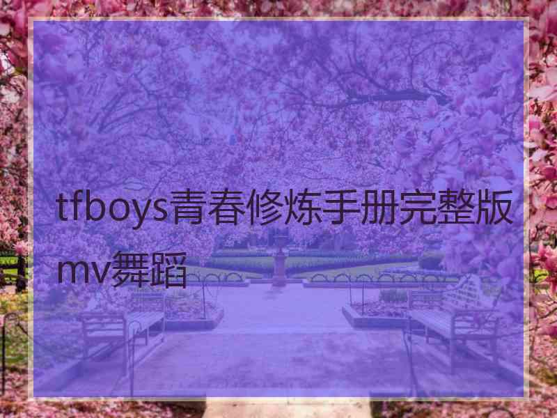 tfboys青春修炼手册完整版mv舞蹈