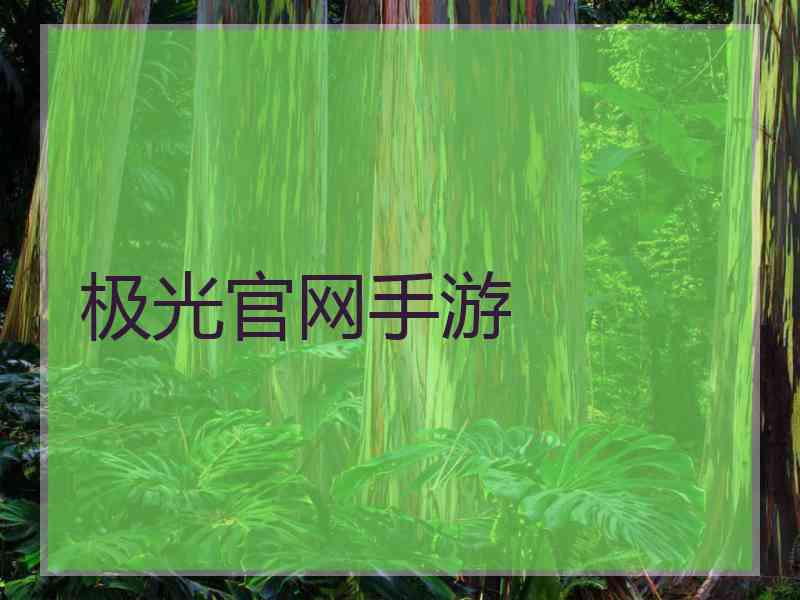 极光官网手游