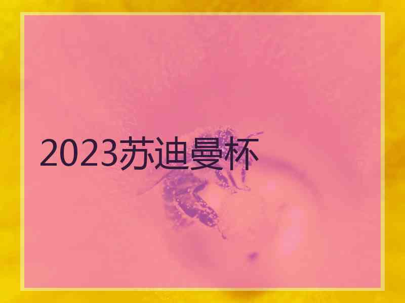 2023苏迪曼杯