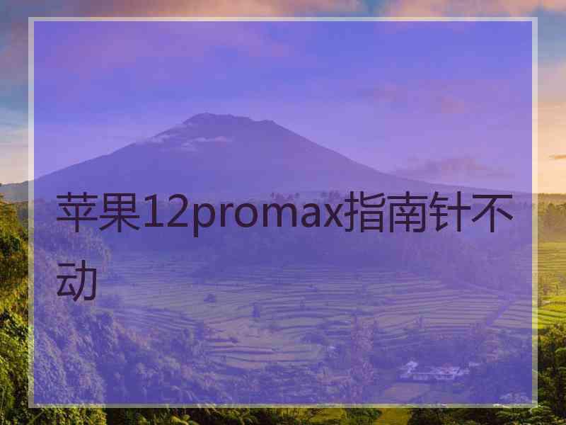 苹果12promax指南针不动