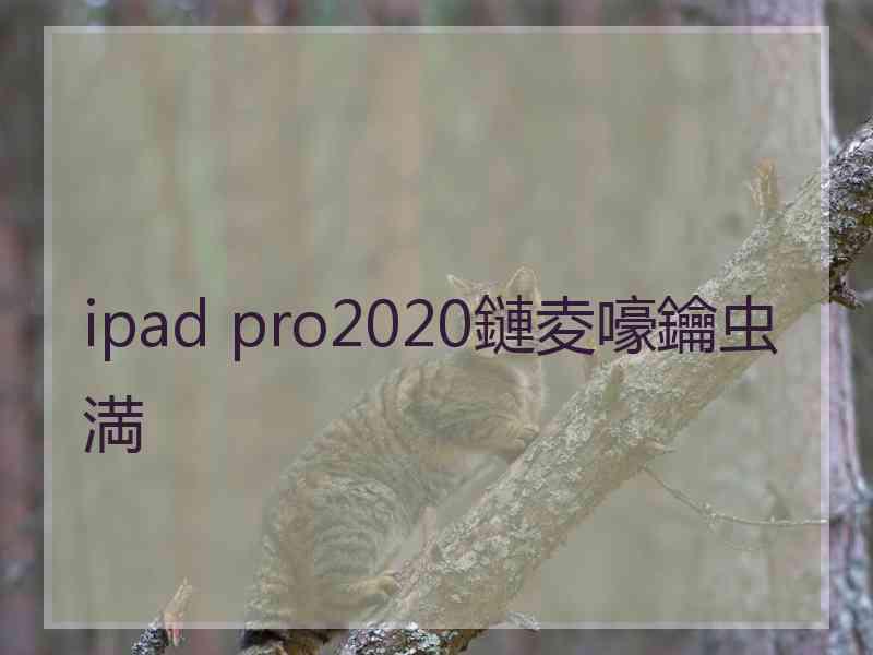 ipad pro2020鏈夌嚎鑰虫満