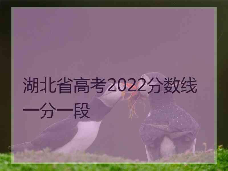 湖北省高考2022分数线一分一段