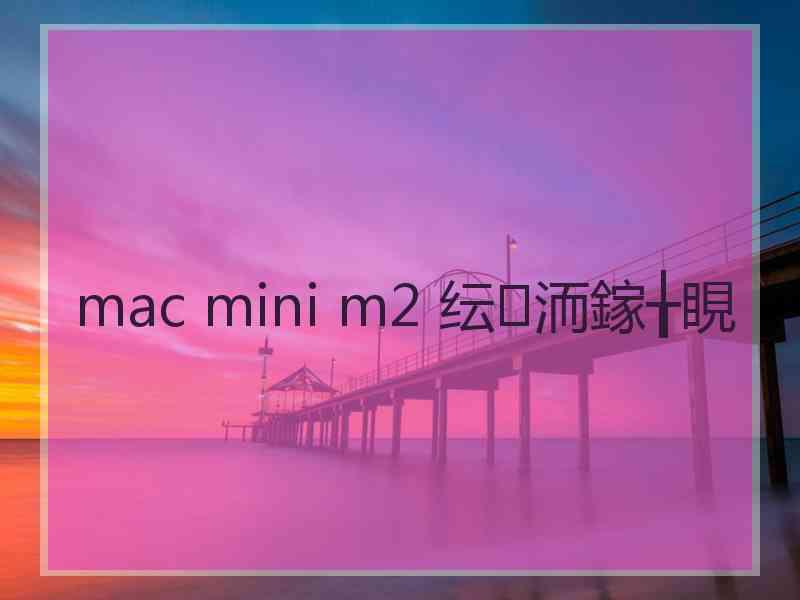 mac mini m2 纭洏鎵╁睍