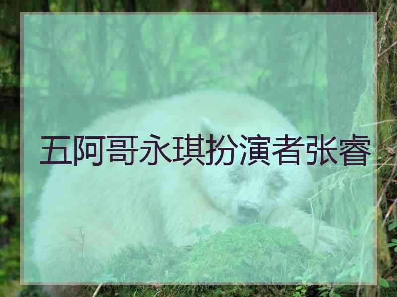 五阿哥永琪扮演者张睿