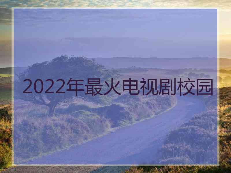 2022年最火电视剧校园