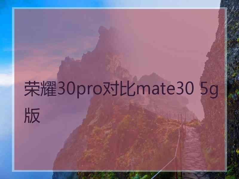 荣耀30pro对比mate30 5g版