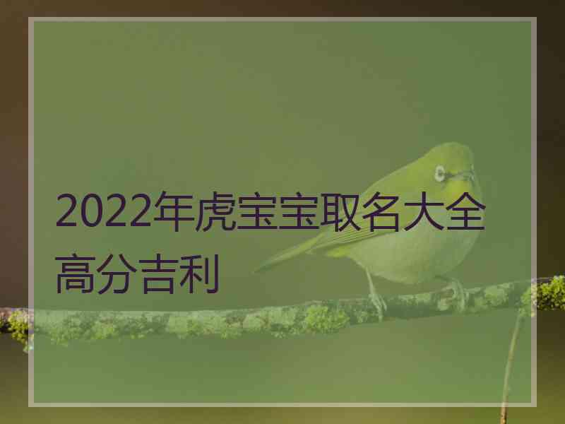 2022年虎宝宝取名大全高分吉利