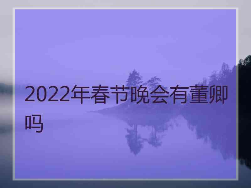 2022年春节晚会有董卿吗