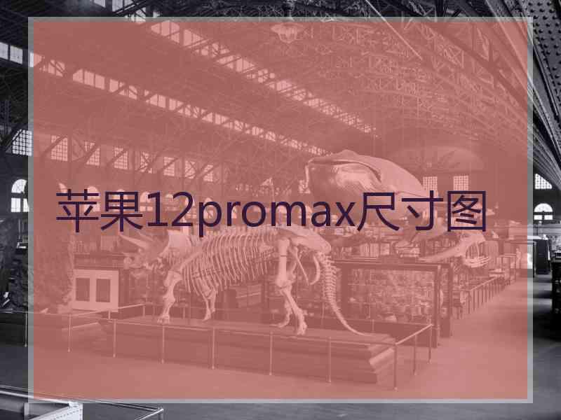 苹果12promax尺寸图