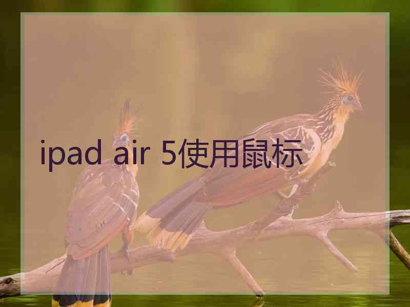 ipad air 5使用鼠标