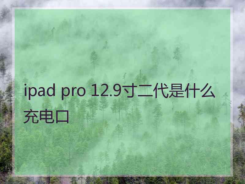 ipad pro 12.9寸二代是什么充电口