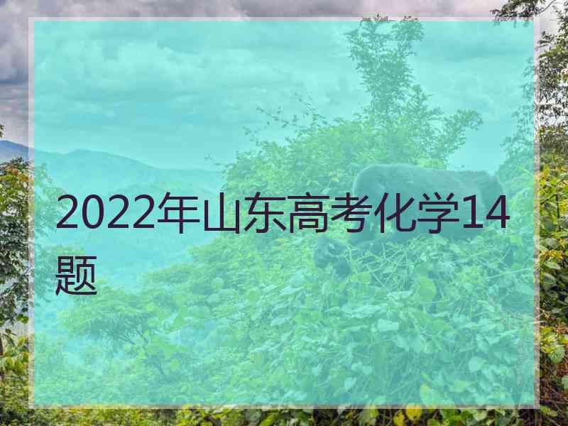 2022年山东高考化学14题