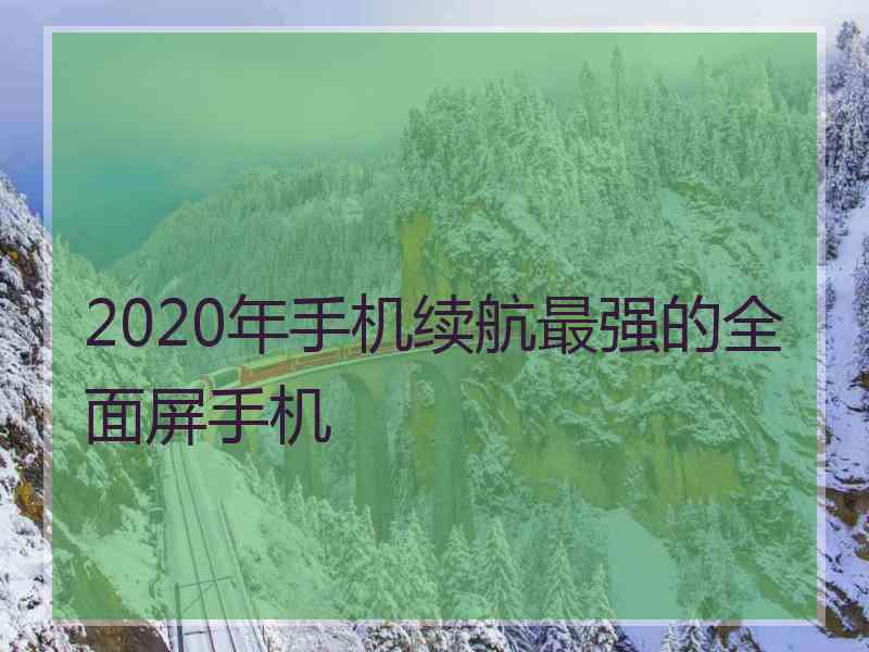 2020年手机续航最强的全面屏手机