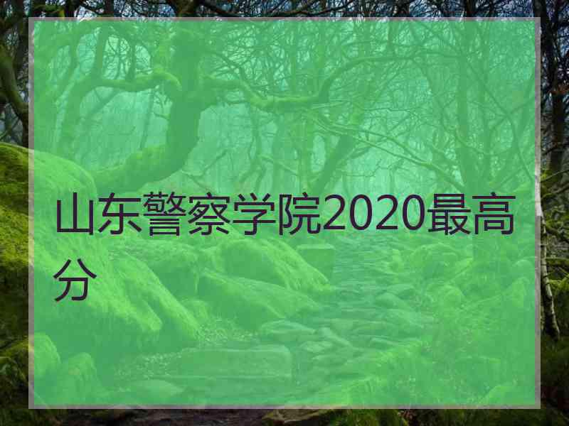 山东警察学院2020最高分