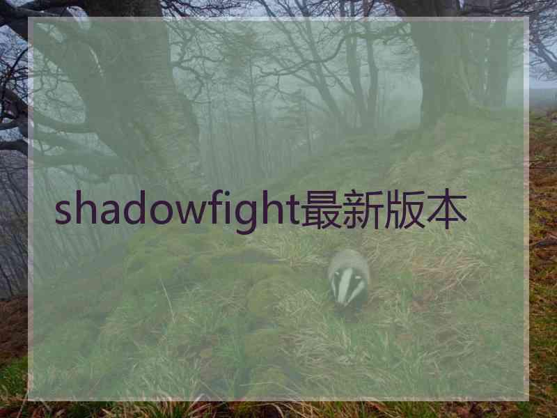 shadowfight最新版本