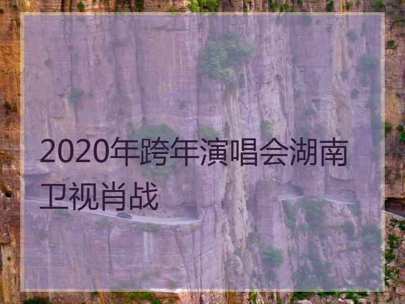 2020年跨年演唱会湖南卫视肖战