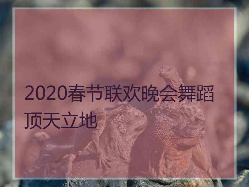 2020春节联欢晚会舞蹈顶天立地