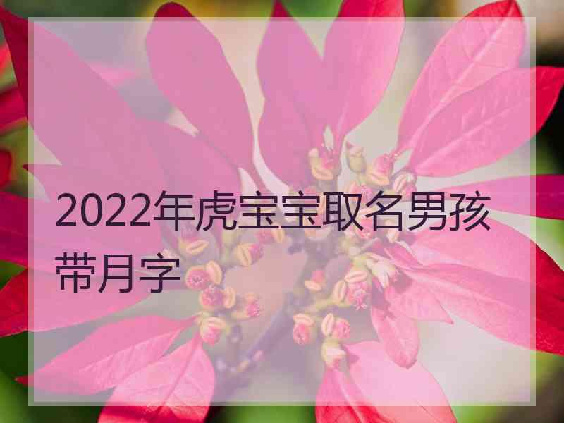 2022年虎宝宝取名男孩带月字