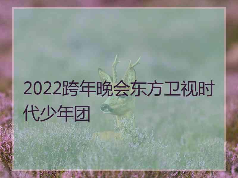 2022跨年晚会东方卫视时代少年团