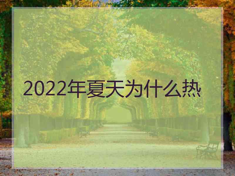 2022年夏天为什么热