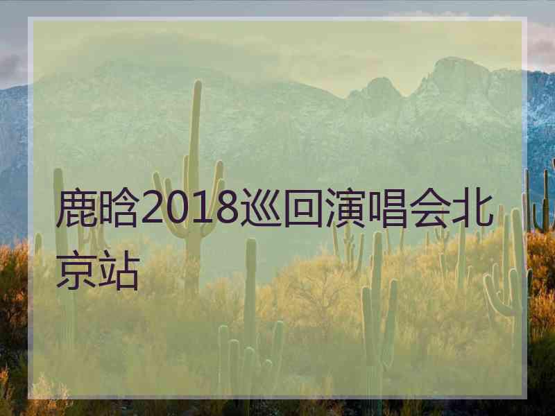 鹿晗2018巡回演唱会北京站