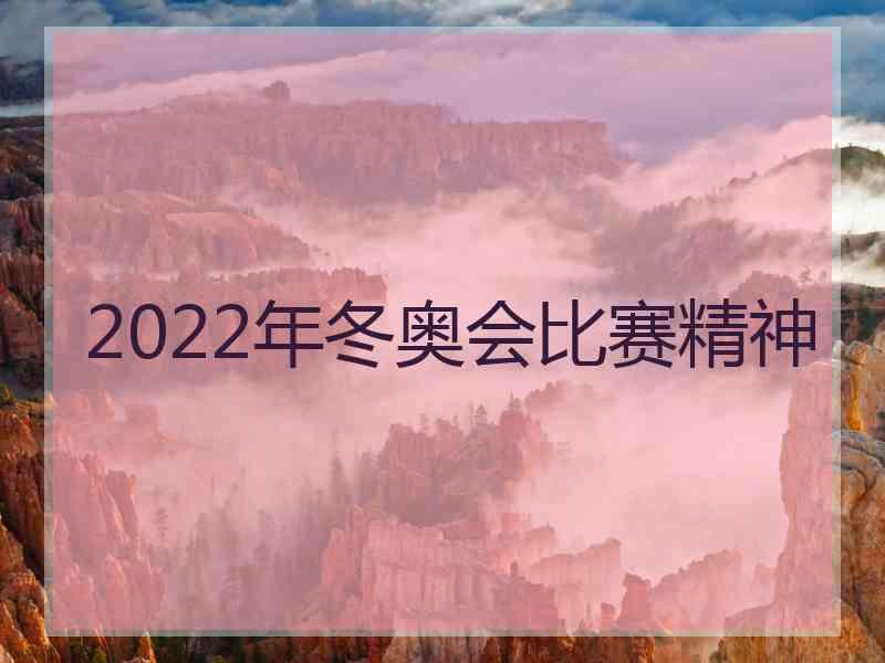 2022年冬奥会比赛精神