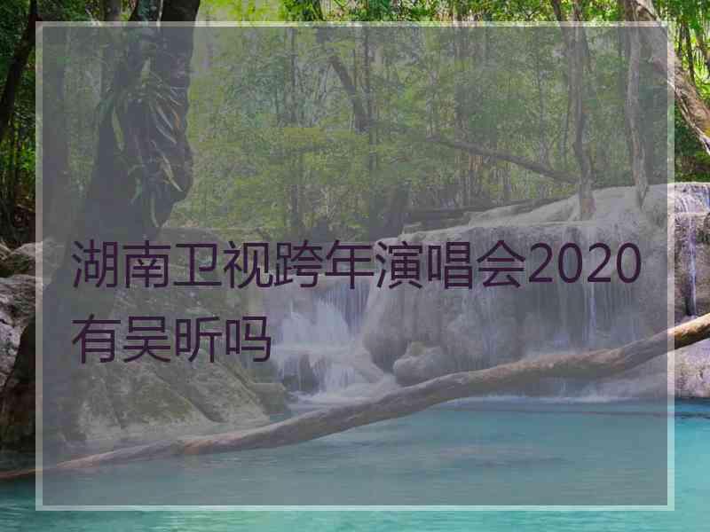 湖南卫视跨年演唱会2020有吴昕吗