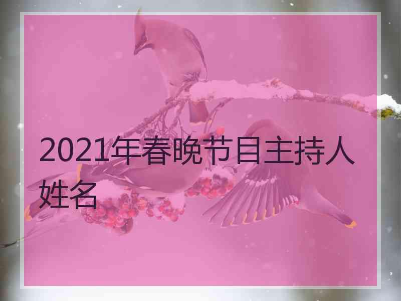 2021年春晚节目主持人姓名