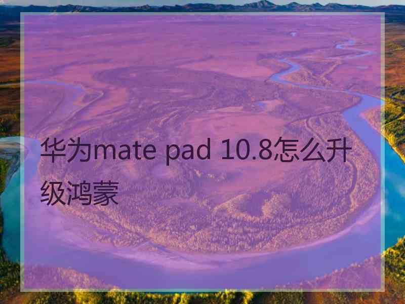 华为mate pad 10.8怎么升级鸿蒙