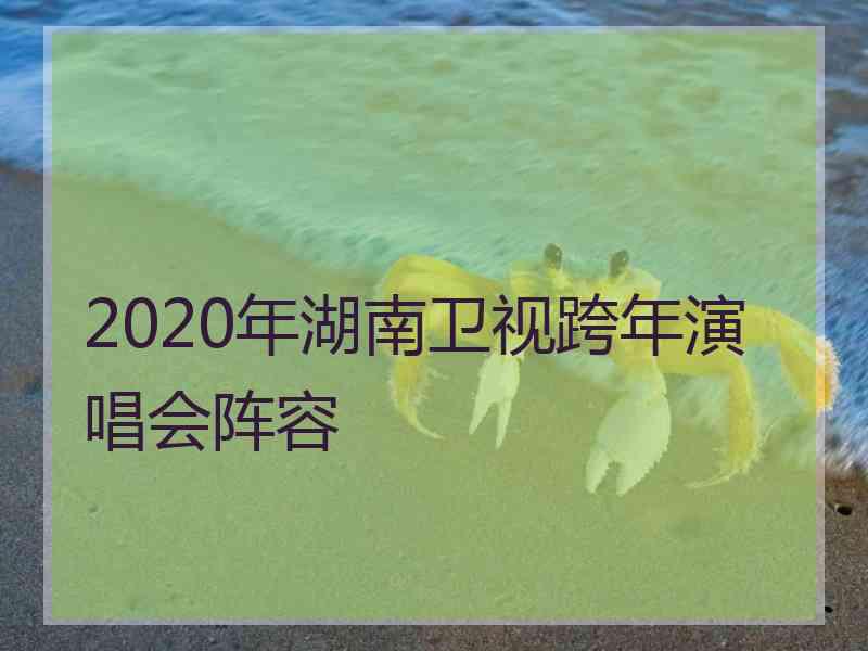 2020年湖南卫视跨年演唱会阵容