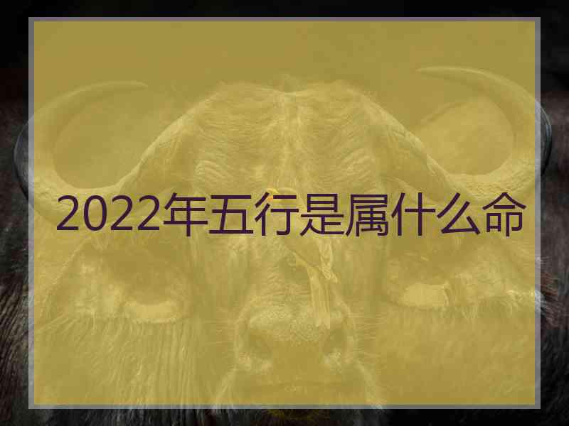 2022年五行是属什么命