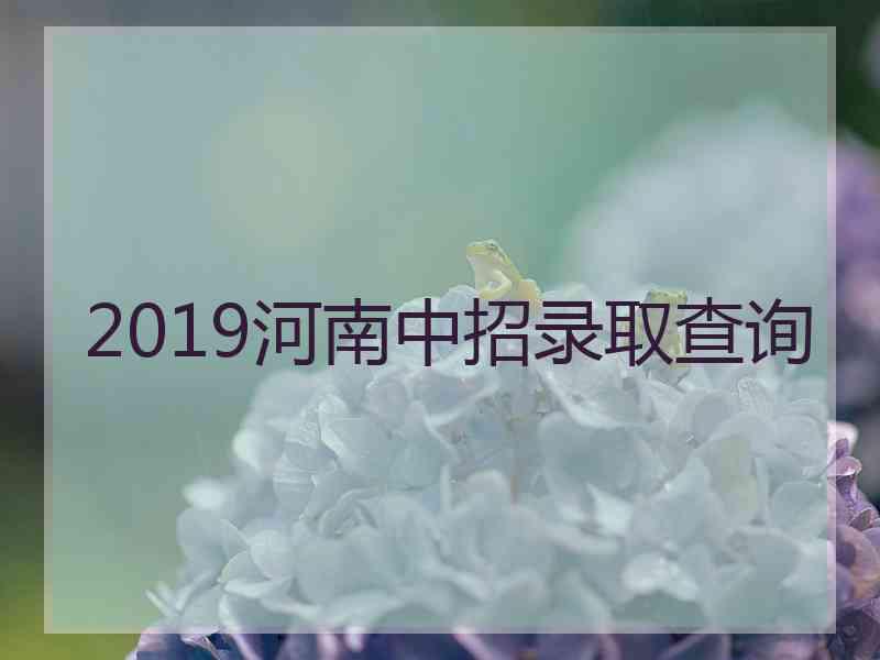 2019河南中招录取查询