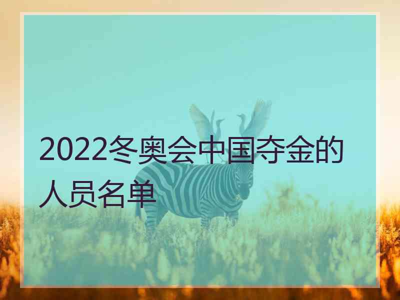 2022冬奥会中国夺金的人员名单