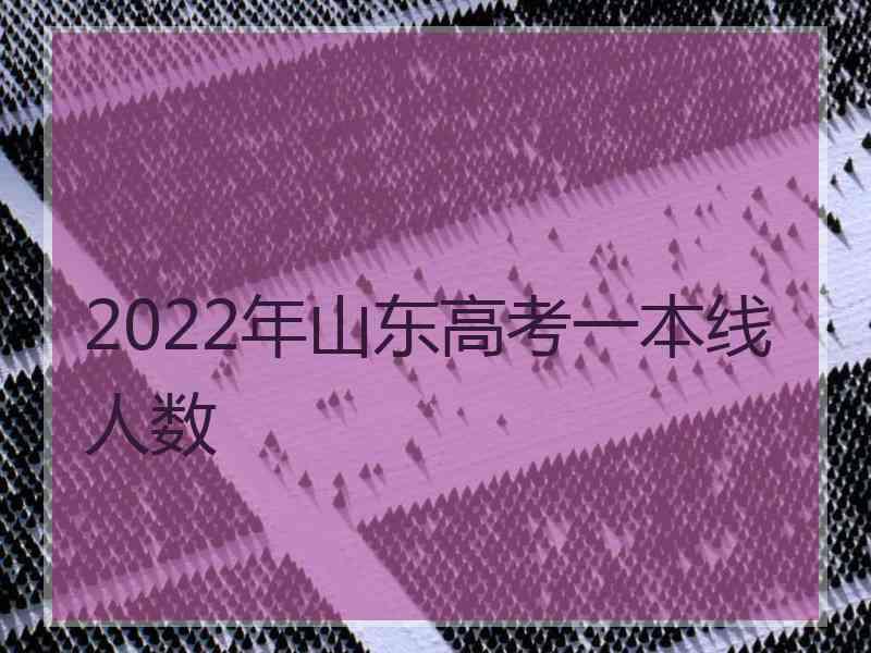 2022年山东高考一本线人数