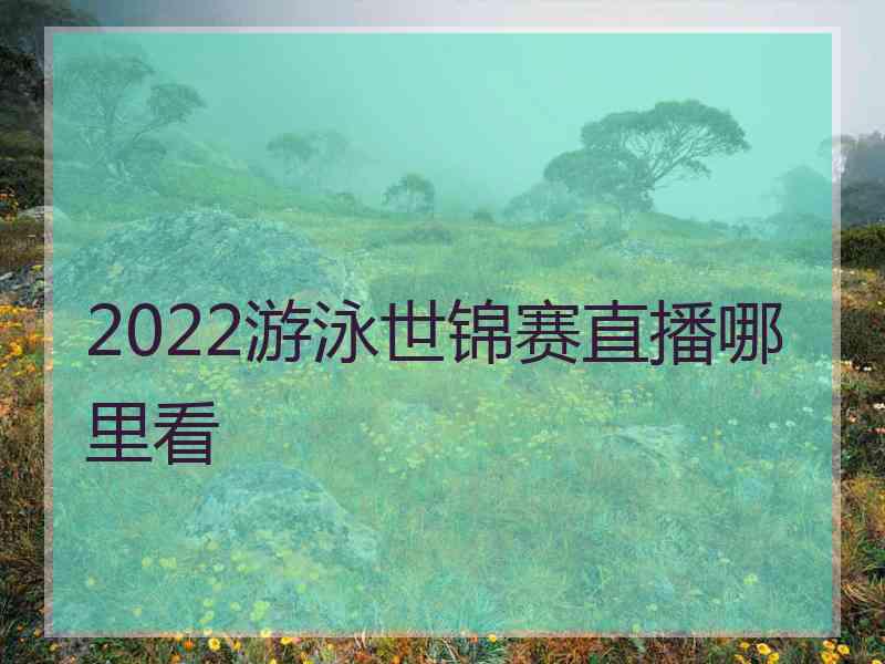 2022游泳世锦赛直播哪里看